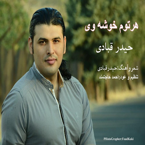 حیدر قبادی هر توم خوشه وی